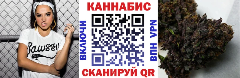 как найти   Тайга  Марихуана ГИДРОПОН 